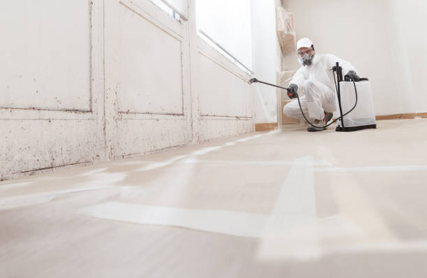 24/7 Emergency Commercial Mold Remediation experts in Towson, MD
